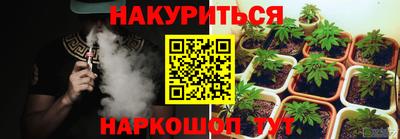 стаф Лесосибирск