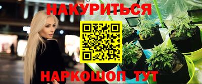 стаф Лесосибирск