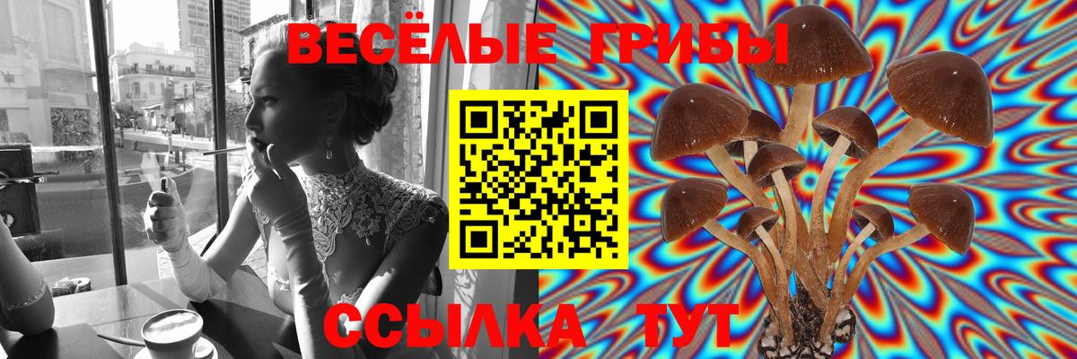 Галлюциногенные грибы Psilocybe  Вход с VPN  Ухта 